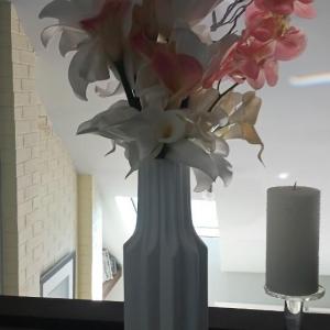 Photo of Flowers, vase, decor