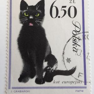 Photo of 1964 Black Cat Stamp - Poland