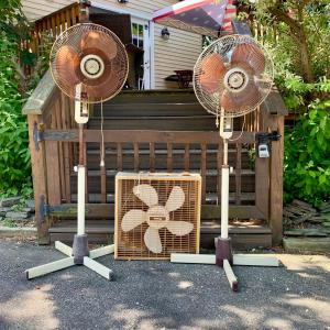 Photo of LOT 121 S: Pair of Robeson Adjustable Oscillating Stand Fans & Galaxy Box Fan