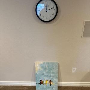 Photo of WRAPPED CANVAS FAMILY OF BIRDS & SKYSCAN ATOMIC CLOCK