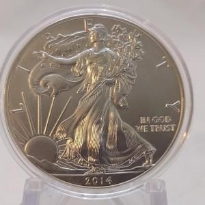 Photo of 2014 GovMint American Eagle Silver Dollar (#35)