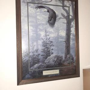 Photo of FRAMED FLYING EAGLE PICTURE