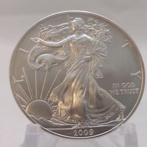 Photo of 2009 U. S. Mint American Eagle Silver Dollar Uncirculated (#238)