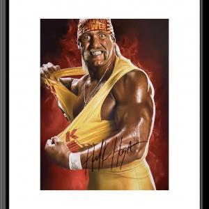 Photo of Hulk Hogan signed photo