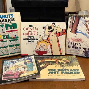 Photo of Calvin and Hobbes Comics Lot