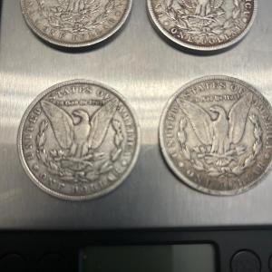Photo of lot 4 Morgan O Silver Dollars