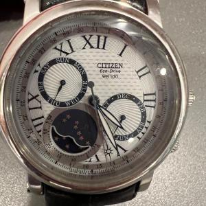 Photo of Citizen Eco Drive WR-100 Mens Watch