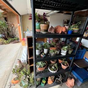 Photo of Estate Sale - Outdoors, Plants, Furniture - plus MYSTERY BOX SALE!